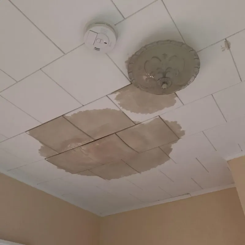 Ceiling Water Damage Repair in Chilhowie, VA