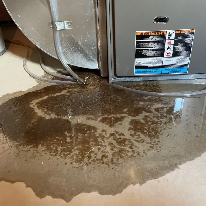 Pipe Burst and Leak Restoration in Chilhowie, VA