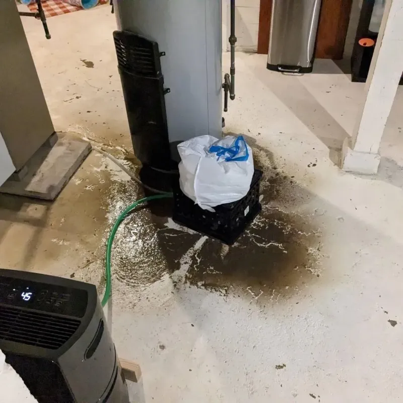 Sewage Backup Cleanup Service in Chilhowie, VA
